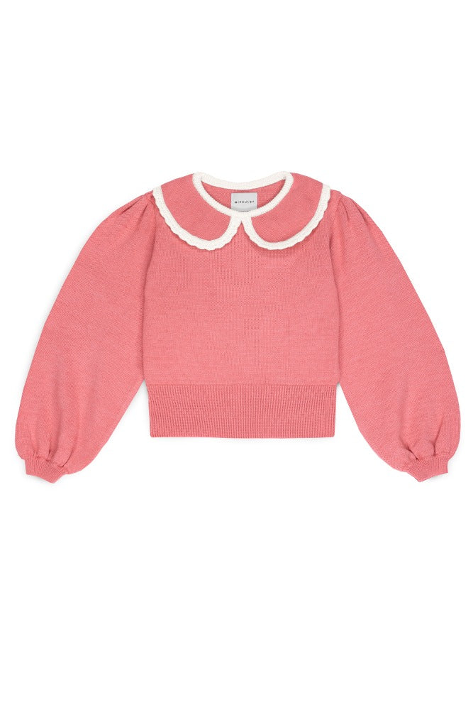 [미포넷] 마리나 스웨터 코랄 MPI24.826.KNI002.37 [OL]